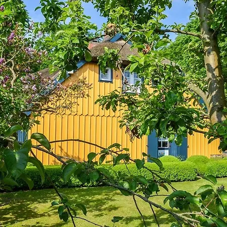 Nyaraló Reetdachkate